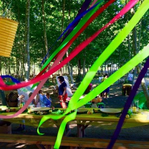 aniversari nens taula decorada picnic les 3 flors
