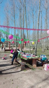festa aniversari taula decorada picnic les 3 flors