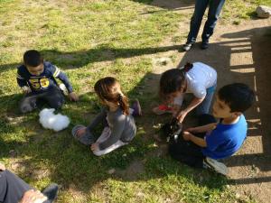 nens agafant els conills picnic les 3 flors